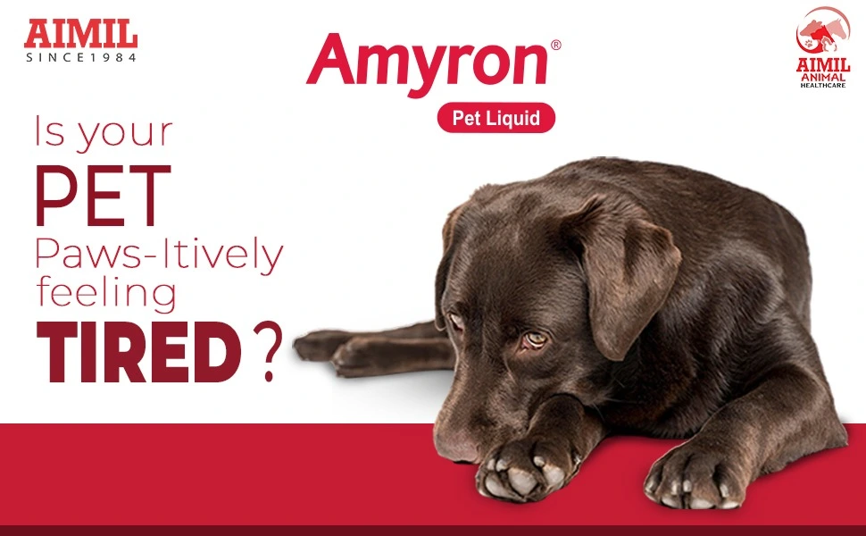 amryon_pet_liquid -4