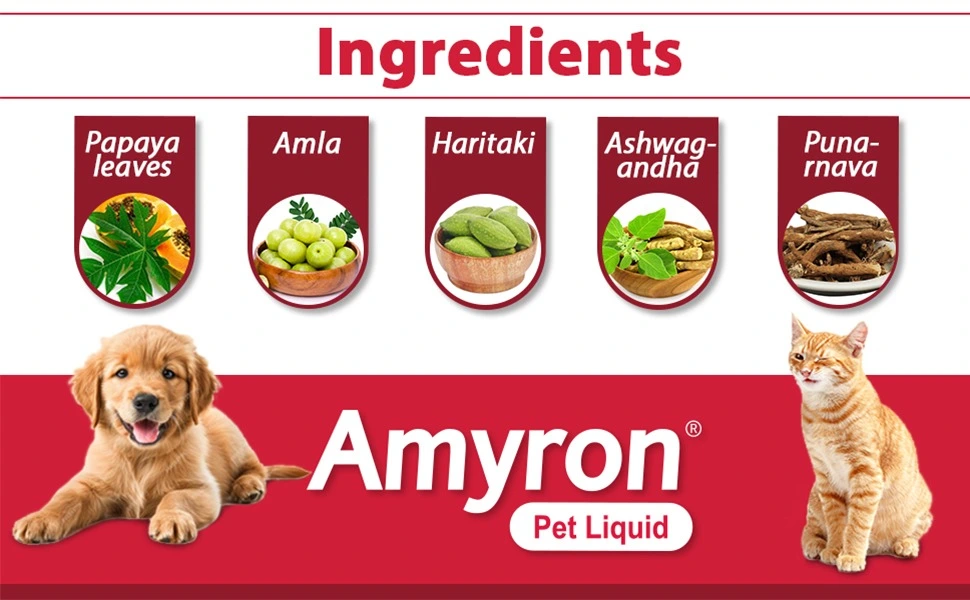 amryon_pet_liquid -5